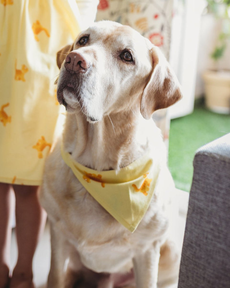 Buy Kitty Kat Bandana for Pets | Shop Verified Sustainable Pet Accessories on Brown Living™