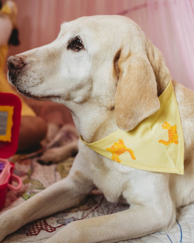 Buy Kitty Kat Bandana for Pets | Shop Verified Sustainable Pet Accessories on Brown Living™