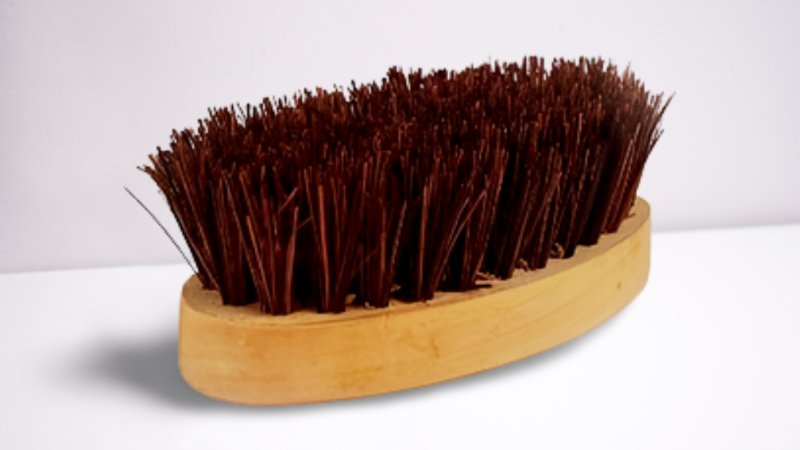 Oval Hard Scrub Coir Brush | Verified Sustainable Kitchen on Brown Living™