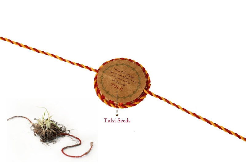 Buy Plantable Seed Rakhi Family Box | Pair of 2 Rakhi | Shop Verified Sustainable Rakhi on Brown Living™