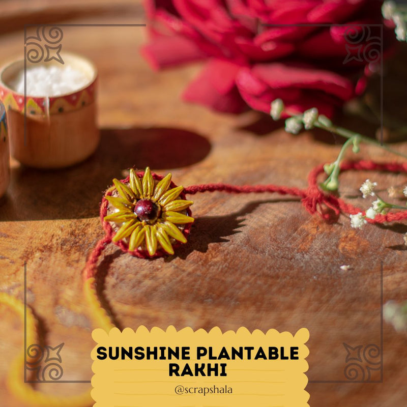 Buy Plantable Seed Rakhi Family Box | Pair of 2 Rakhi | Shop Verified Sustainable Rakhi on Brown Living™