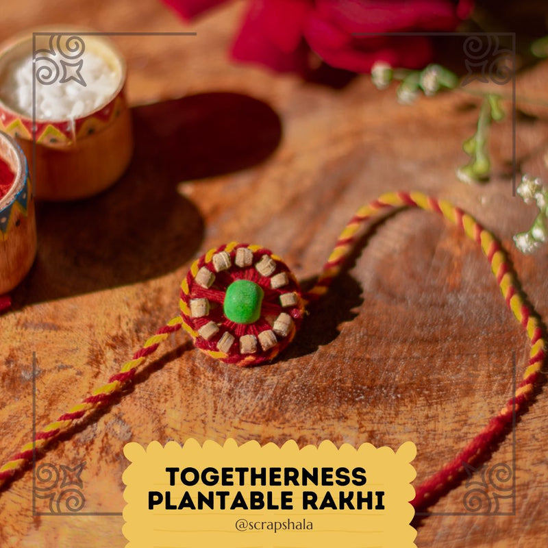 Buy Plantable Seed Rakhi Family Box | Pair of 2 Rakhi | Shop Verified Sustainable Rakhi on Brown Living™