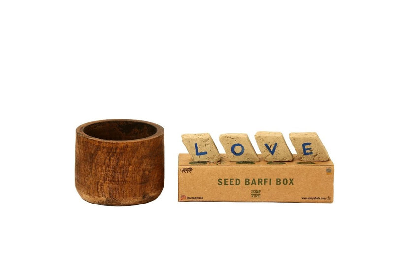 Buy Plantable Seed Rakhi Gift Box | Pair of 2 Rakhi | Shop Verified Sustainable Rakhi on Brown Living™