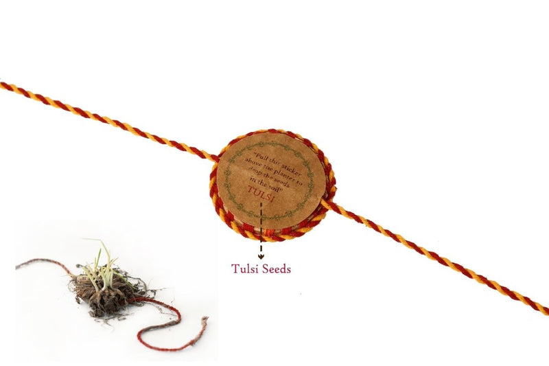 Buy Plantable Seed Rakhi Gift Box | Pair of 2 Rakhi | Shop Verified Sustainable Rakhi on Brown Living™