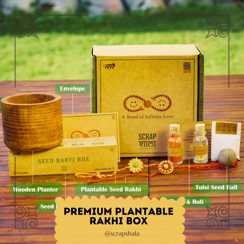 Buy Plantable Seed Rakhi Premium Box | Pair of 2 Rakhi | Shop Verified Sustainable Rakhi on Brown Living™