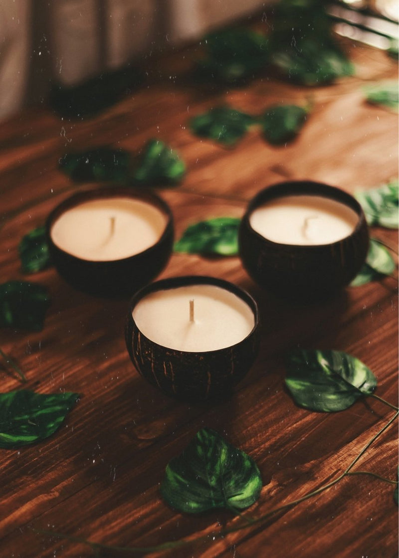 Buy Premium Coconut shell soy wax candle- Set of 2 | Shop Verified Sustainable Candles & Fragrances on Brown Living™