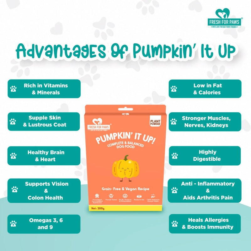 Buy Pumpkin It Up | 100 gram pack of 3 | Shop Verified Sustainable Pet Food on Brown Living™