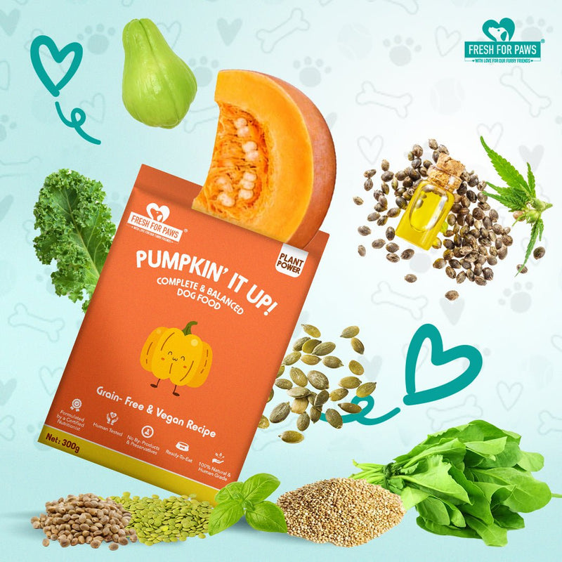 Buy Pumpkin It Up | 300 gram | Shop Verified Sustainable Pet Food on Brown Living™