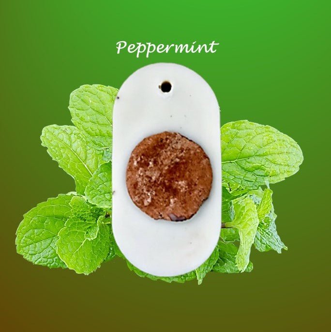 Buy Reusable Soy Wax Air freshener - Peppermint Oil - Pack of 1 | Shop Verified Sustainable Candles & Fragrances on Brown Living™