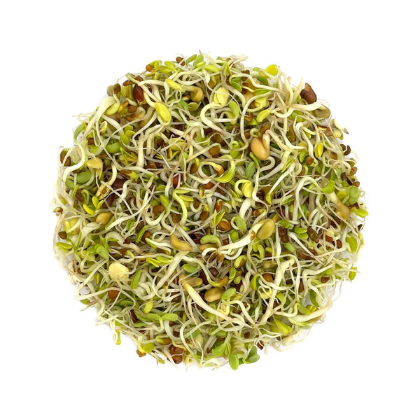 Buy Satopradhan Mix Seeds for Sprouting - 200g | Shop Verified Sustainable Seeds on Brown Living™