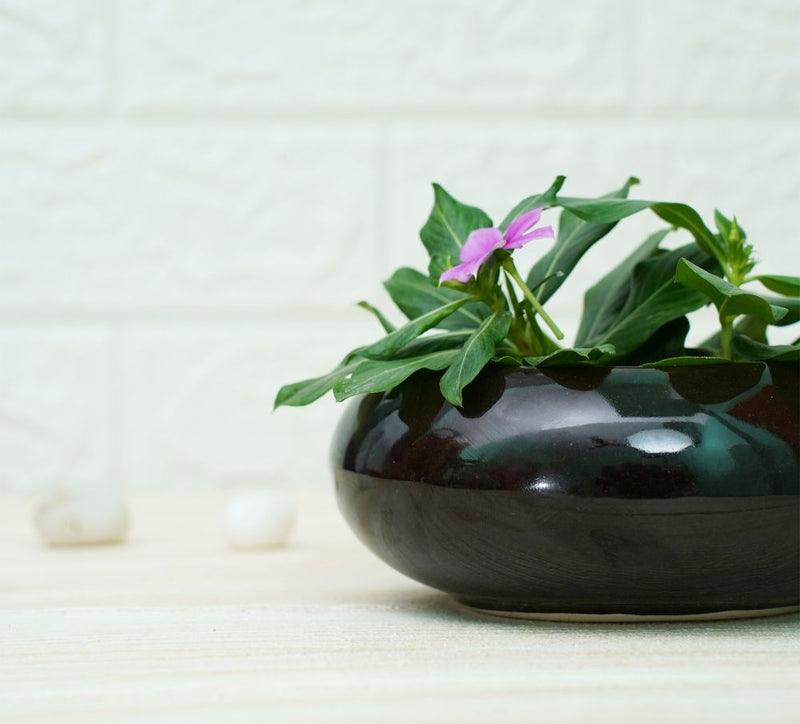 Buy Small Ceramic Pots for Desk | Black | Shop Verified Sustainable Pots & Planters on Brown Living™