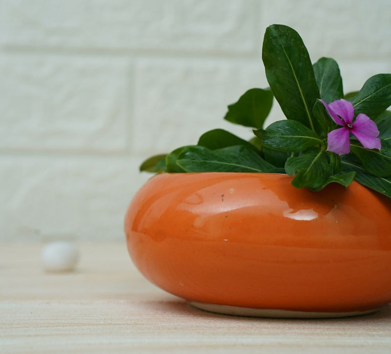 Buy Small Ceramic Pots for Desk | Orange | Shop Verified Sustainable Pots & Planters on Brown Living™