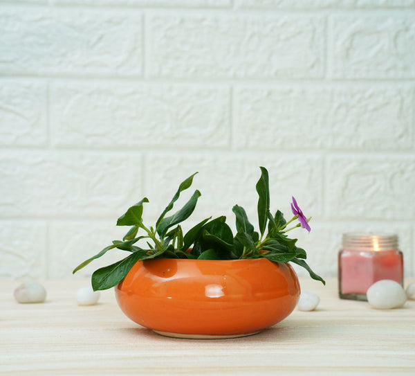 Buy Small Ceramic Pots for Desk | Orange | Shop Verified Sustainable Pots & Planters on Brown Living™