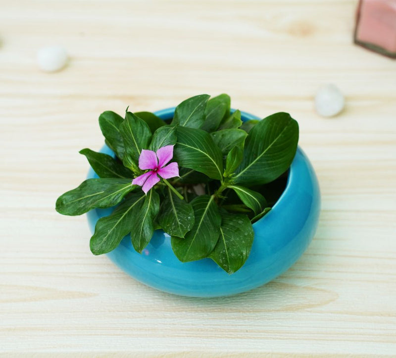 Buy Small Ceramic Pots for Desk | Sky Blue | Shop Verified Sustainable Pots & Planters on Brown Living™