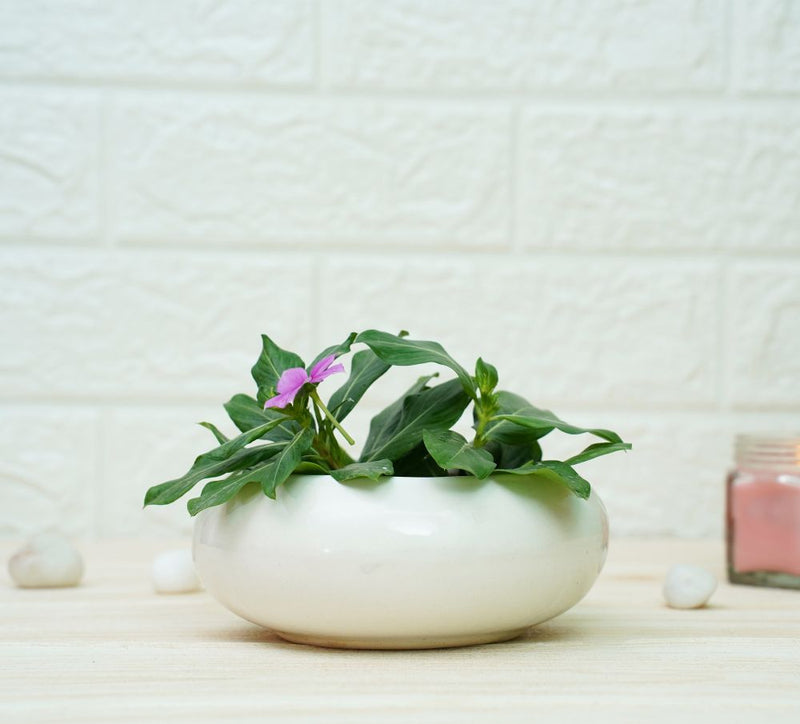 Buy Small Ceramic Pots for Desk | White | Shop Verified Sustainable Pots & Planters on Brown Living™