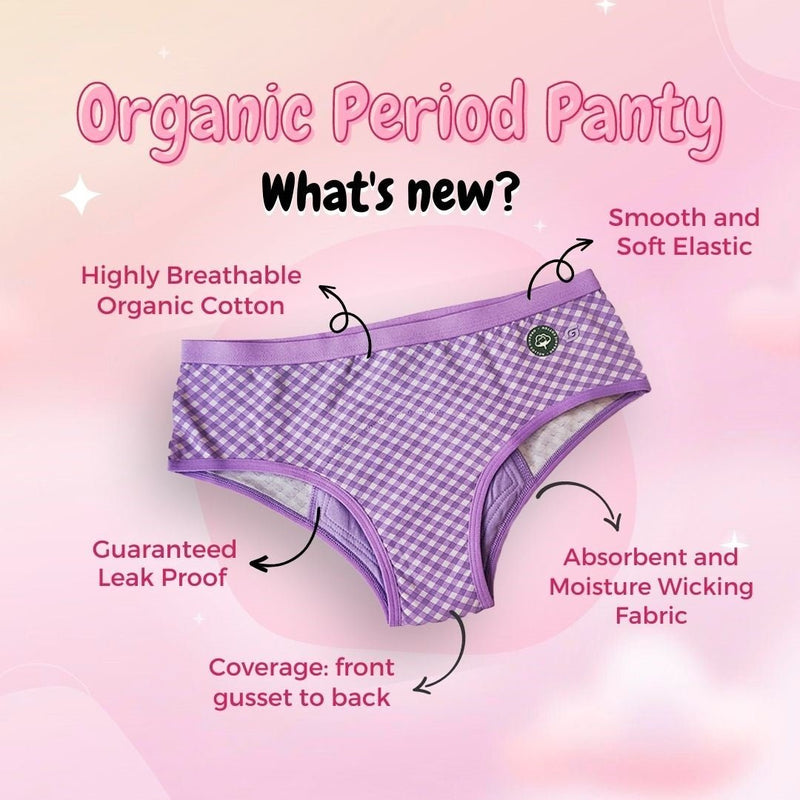 Buy Organic Reusable/Washable/Leakproof/Absorbent Period Panty (Hipster) | Shop Verified Sustainable Womens Underwear on Brown Living™