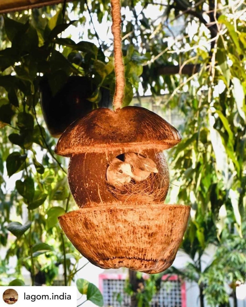 Buy Tanya Coconut Bird Feeder | Shop Verified Sustainable Bird Feeder on Brown Living™