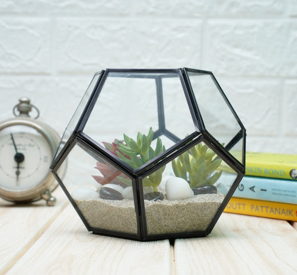 Buy Terrarium Glass Containers with Terrarium Grow Kit (Black Fullerene) | Shop Verified Sustainable Pots & Planters on Brown Living™