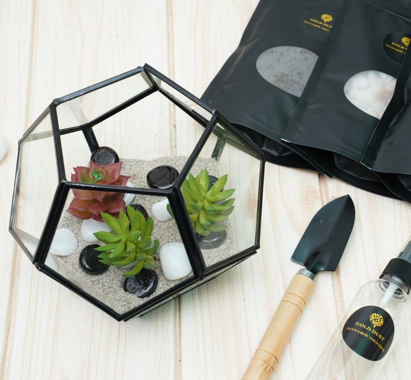 Buy Terrarium Glass Containers with Terrarium Grow Kit (Black Fullerene) | Shop Verified Sustainable Pots & Planters on Brown Living™