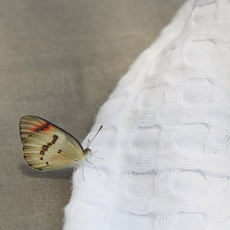 White Textured Waffle Hand Towel | Verified Sustainable Bath Linens on Brown Living™