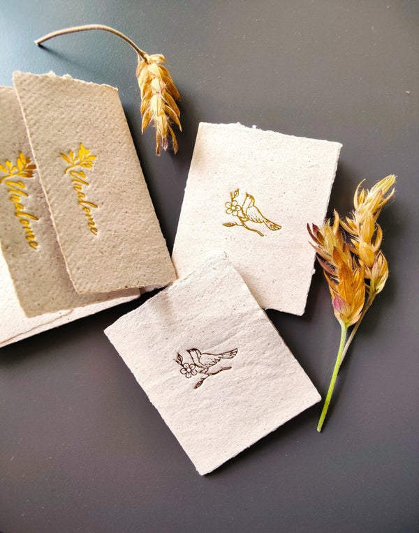 Buy Wish Cards in Banana Pulp Paper | Shop Verified Sustainable Products on Brown Living