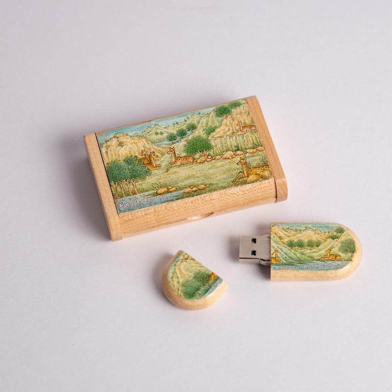 Buy Wooden Pen Drive Box set with Hand Painted Miniature Art | Shop Verified Sustainable Tech Accessories on Brown Living™